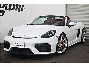 Porsche PORSCHE OTHERS 