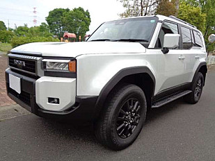 TOYOTA LANDCRUISER 250
