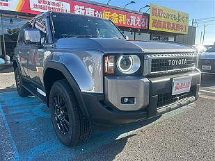 TOYOTA LANDCRUISER 250