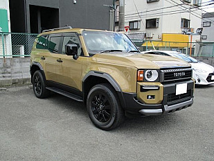 TOYOTA LANDCRUISER 250