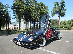 LAMBORGHINI COUNTANCH