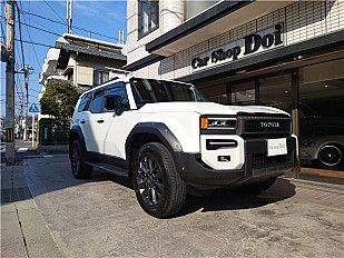 TOYOTA LANDCRUISER 250
