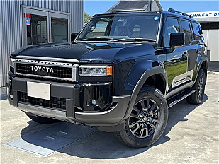 TOYOTA LANDCRUISER 250